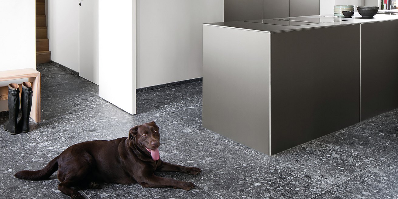 Dog resting next to a bulthaup kitchen